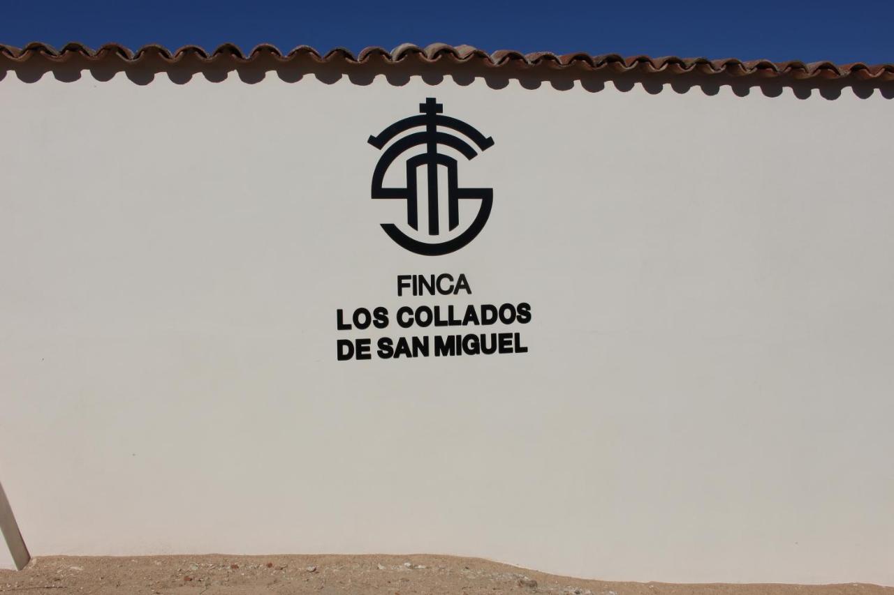 Collados De San Miguel * Torre de Juan Abad